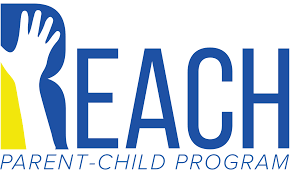 問專家：reach認證限制物質(zhì)和候選名單之間的區(qū)別